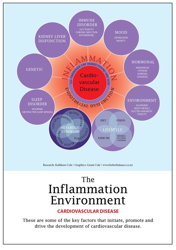 Inflammation Environment chart Cardiovascular disease