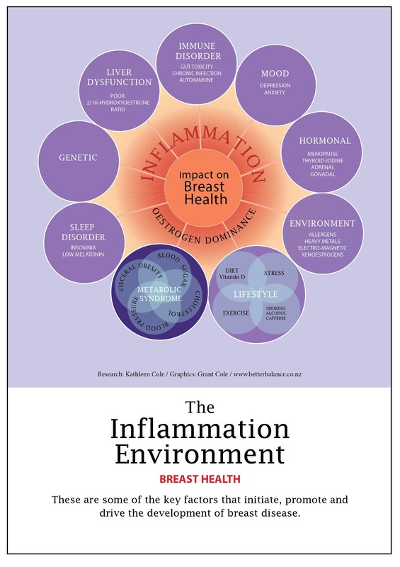 Inflammation Environment chart Breast Health